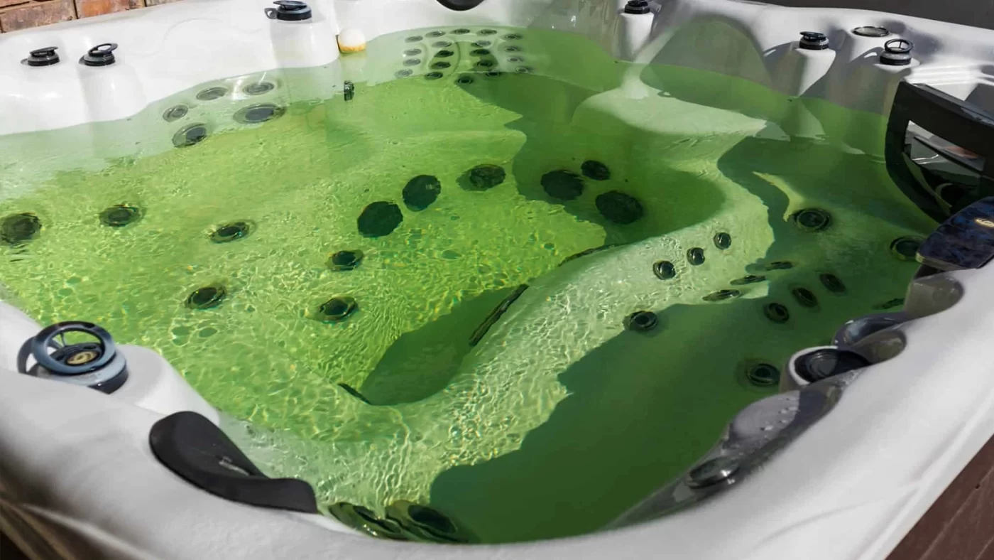 Algae in jacuzzi.